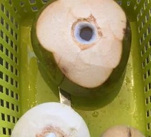 Coconut Water Pot