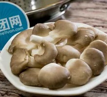 Enoki Mushroom
