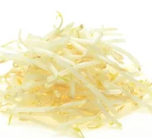 Mung Bean Sprouts