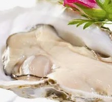 French Oyster Sashimi