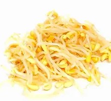 Mung Bean Sprouts