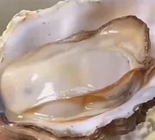 Two Dozen Oysters with Free Oysters