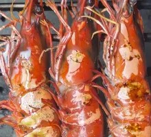 Grilled Tiger Prawn