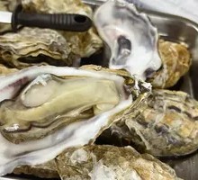 Steamer Oyster