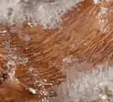 Golden Pot-Braised Snail Rice Noodles