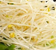 Eco Bean Sprouts