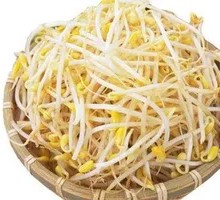 Bean sprouts