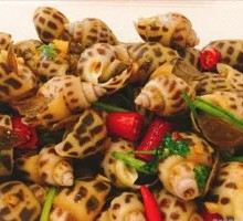 Fresh and Sweet Flower Snail