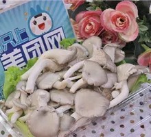 Enoki Mushroom