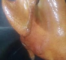 Clay Pot Braised Chicken