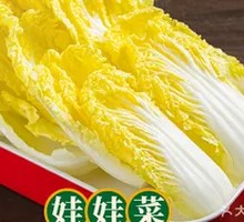 Sweet Heart Baby Bok Choy