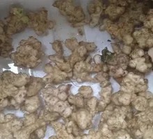 Burdock Root Stir-Fry