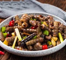 Spicy Snail with Chili