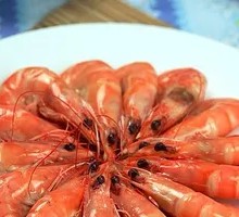 Shrimp