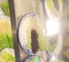 Vegetarian Sea Cucumber