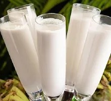 Hainan Coconut Juice