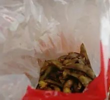 Signature Edamame
