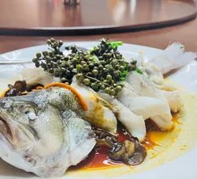 Sichuan-style Pike with Sichuan Peppercorns