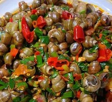 Spicy Threaded Snail