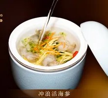 Surfing Live Sea Cucumber