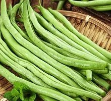 Fresh Green Beans