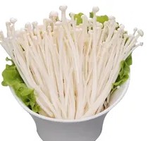Enoki Mushroom