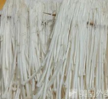 Enoki Mushroom