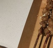 Grilled Lamb Skewers