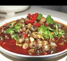 Spicy Threaded Snail