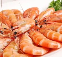 Boiled Live Prawn