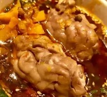 Special Pig Brain