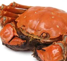 Steamed Male Crab