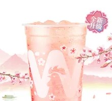 New Pink Cherry Blossom Sparkling Drink