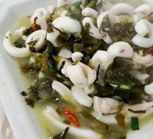 Snow Cabbage Squid