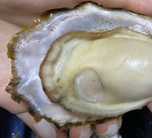 Steamed Laoshan Oysters