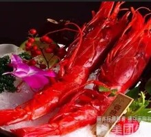 Red Devil Shrimp