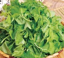 Stir-fried Amaranth