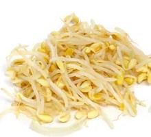 Fresh Mung Bean Sprouts