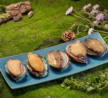 Six-Head Abalone