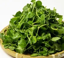 Organic Mung Bean Sprouts