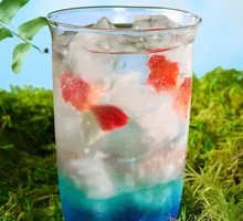 Goldfish Sparkling Water