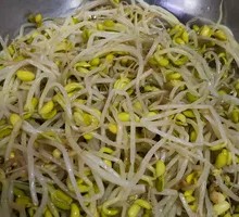 Mung Bean Sprouts