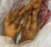 Braised Chicken Feet