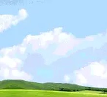 Qiqihar Mixed Lean Beef