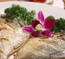 Grilled Spanish Mackerel