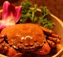 Freshwater Crab