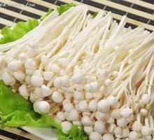 Enoki Mushroom