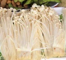 Enoki Mushroom
