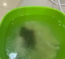 Cold Dish Platter
