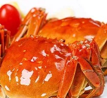 Freshwater Crab